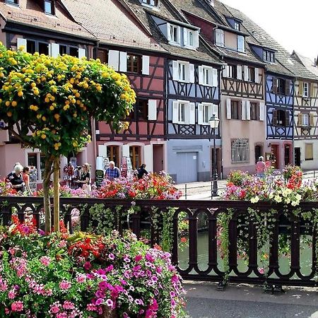 Colmar,Appart Chaleureux 2 Pas Centre Avec Jardin Exterior foto