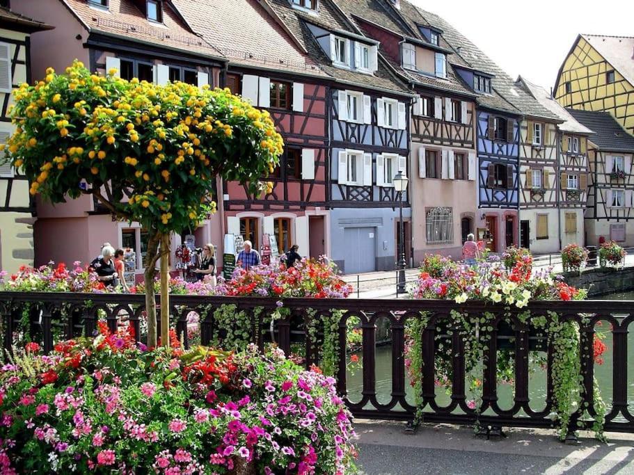 Colmar,Appart Chaleureux 2 Pas Centre Avec Jardin Exterior foto